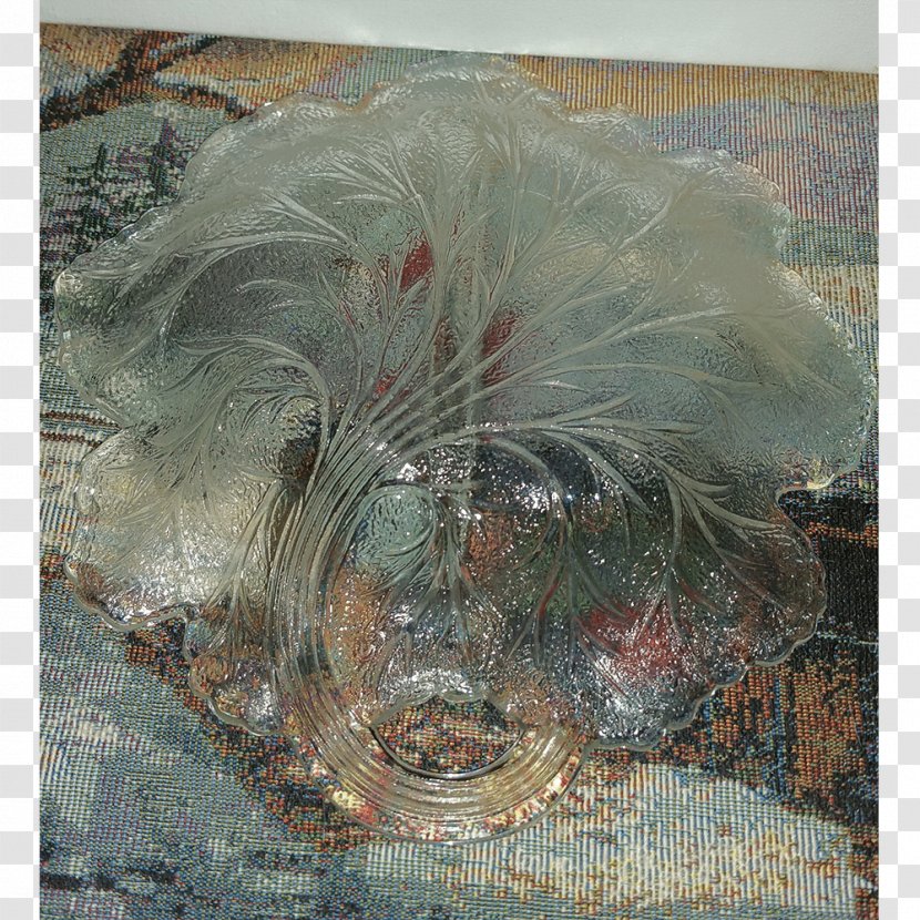 Feather Painting - Fauna Transparent PNG
