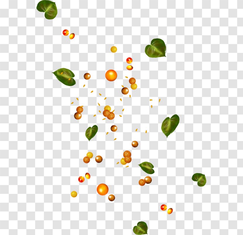 Petal Fruit Flower Clip Art - Leaf - Flover Transparent PNG