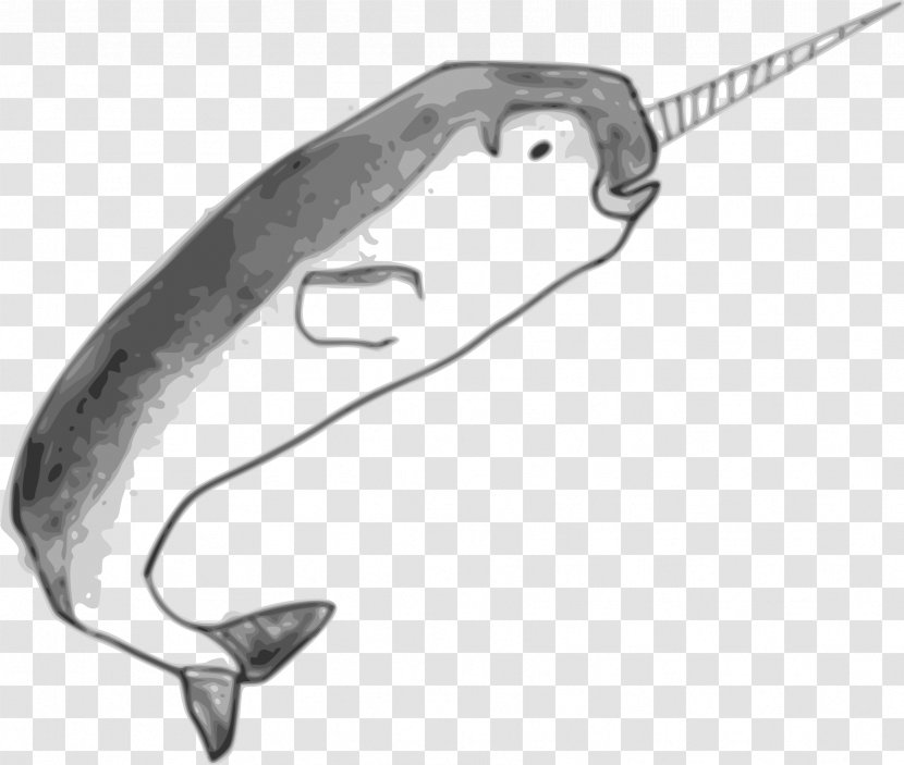 Narwhal Toothed Whale Drawing Clip Art - Hardware Accessory Transparent PNG