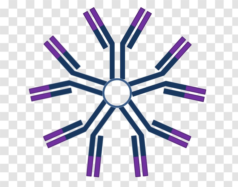Immunoglobulin M Antibody A G Antigen - Symbol - Sterilized Virus Transparent PNG