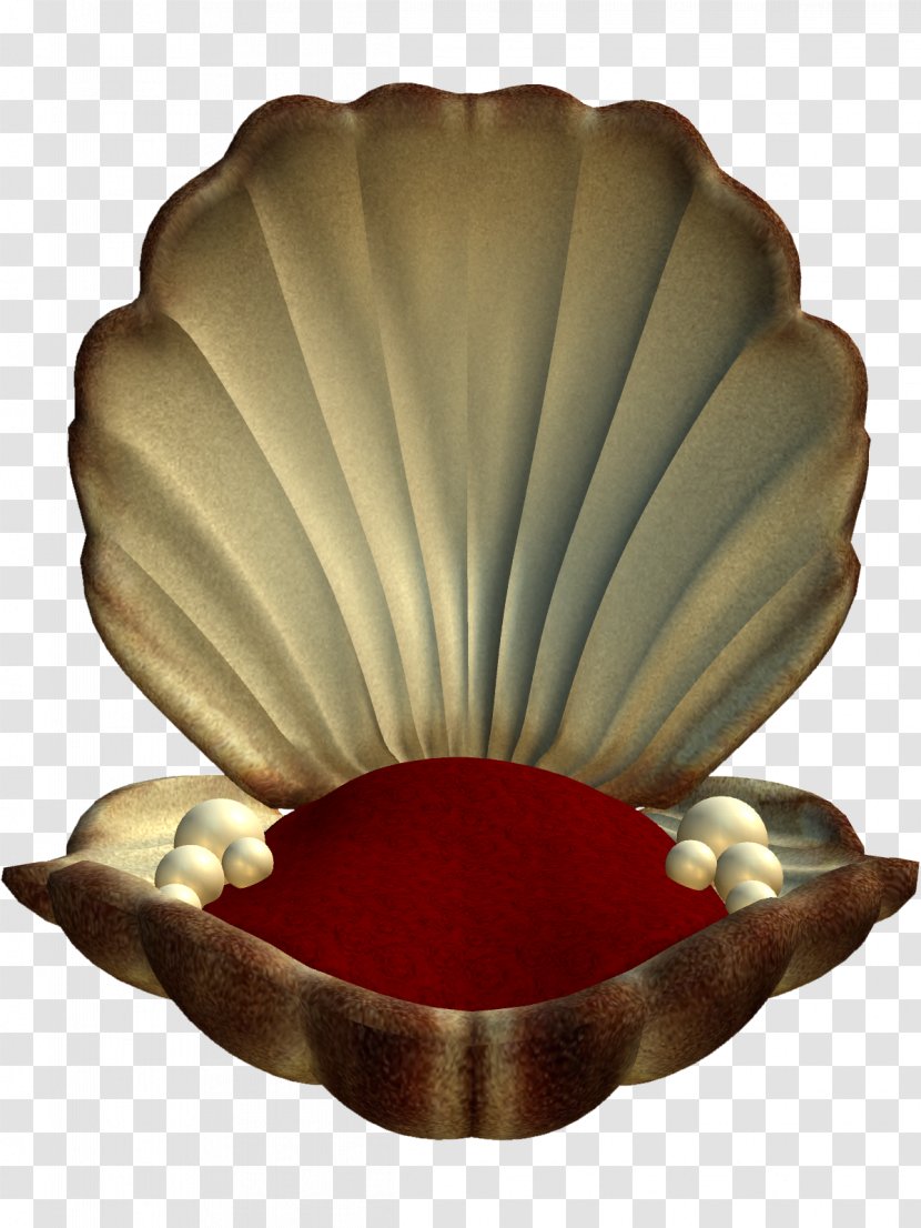 Seashell Download - Bowl Transparent PNG