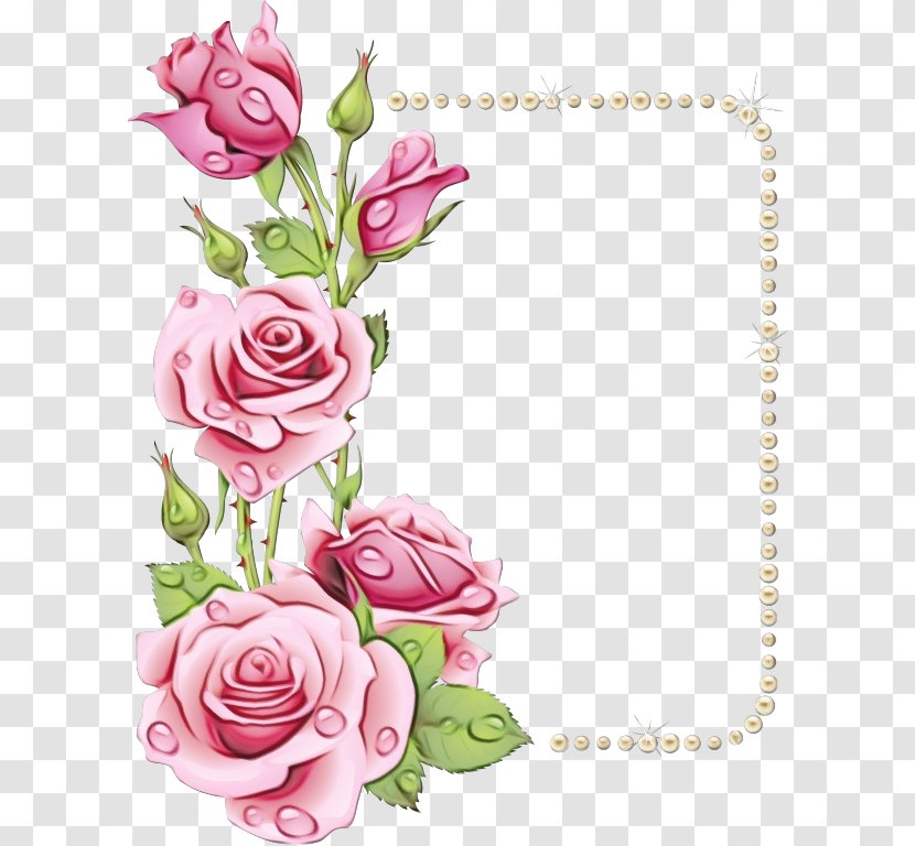 Watercolor Flowers Frame - White - Petal Rose Order Transparent PNG