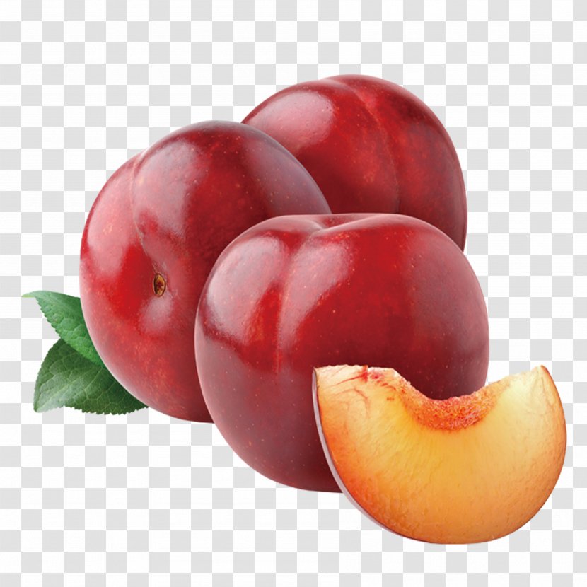 Plum Fruit Seed Peach Vegetable - Prune Transparent PNG