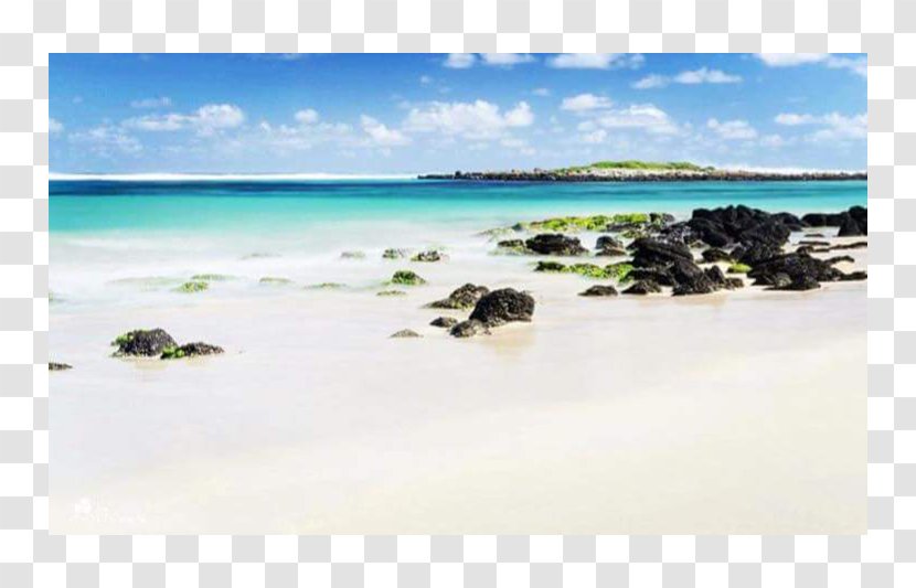 Sea Caribbean Beach Coast Ocean - Shore Transparent PNG