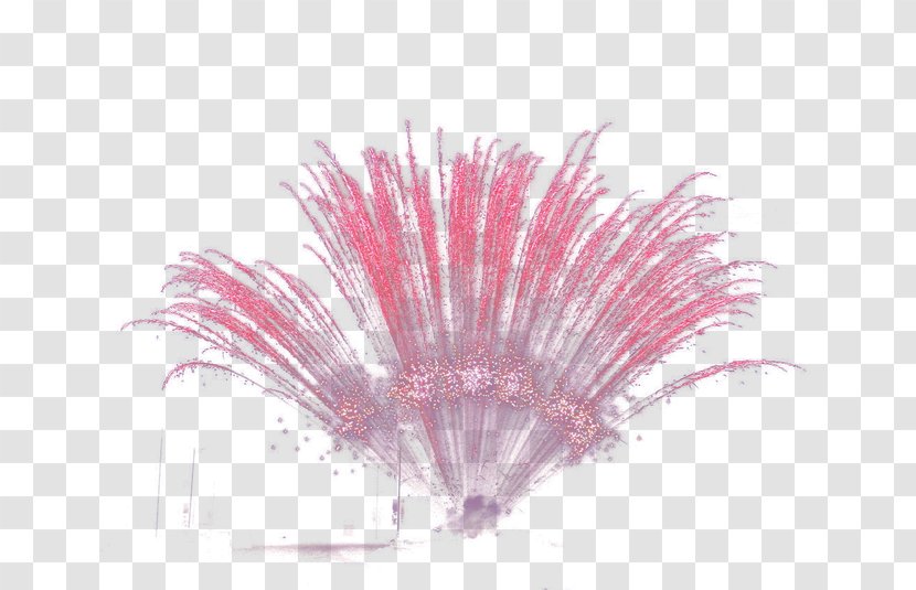 Fan - Magenta - Fireworks Transparent PNG