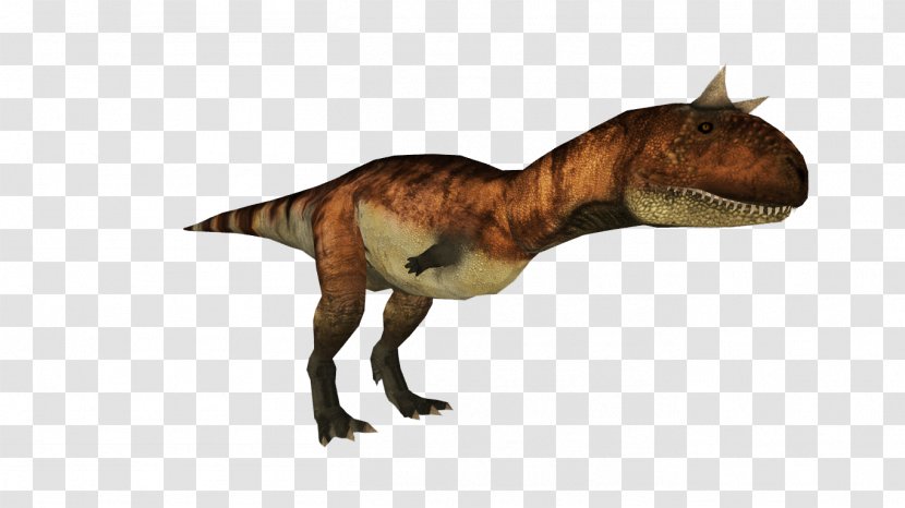 Tyrannosaurus Character Terrestrial Animal Fiction - Dinosaur - Carnotaurus Ark Transparent PNG