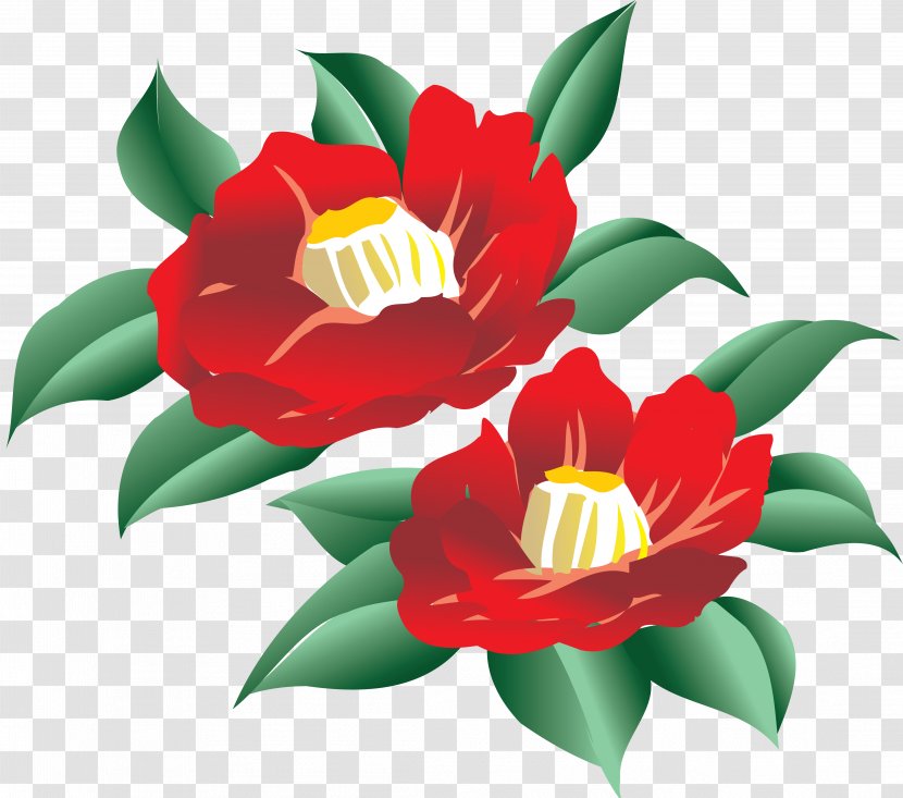 Photography Drawing Clip Art - Video - Flower Transparent PNG