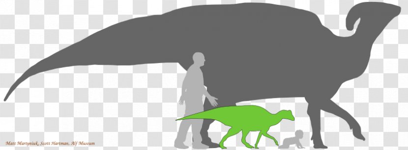 Parasaurolophus Hadrosaurus Lambeosaurus Dinosaur Size - Jurassic Park Transparent PNG