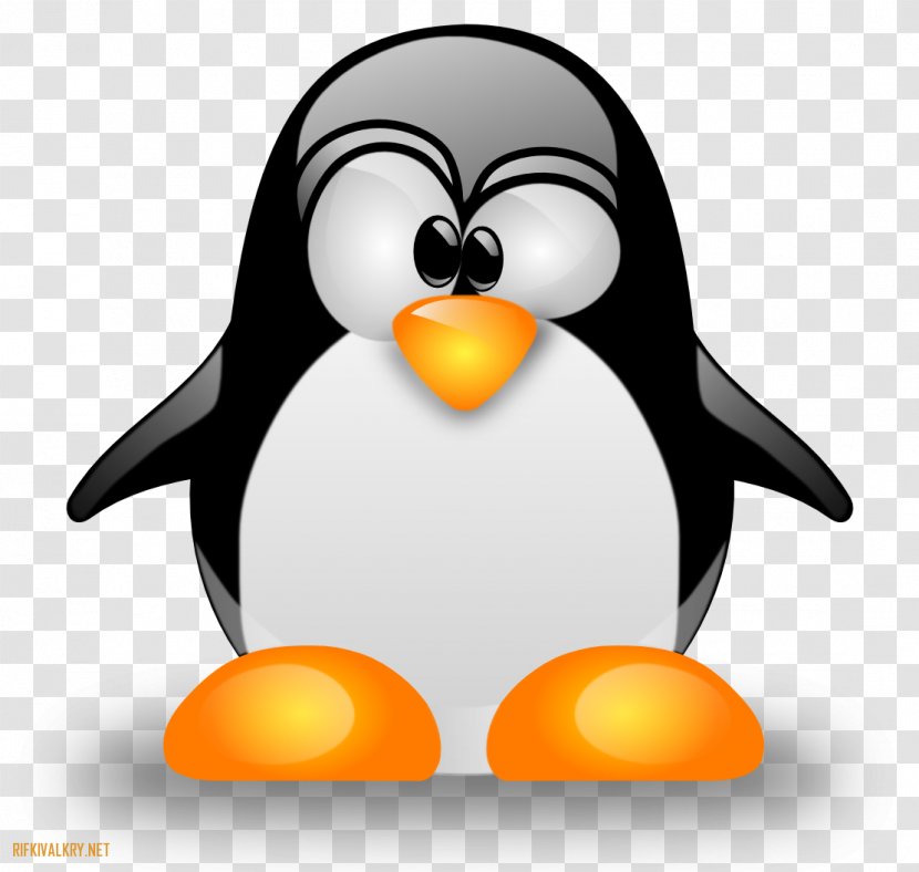 Linux System Administrator Unix Computer Software Transparent PNG