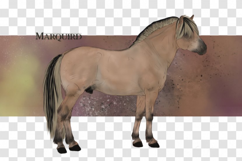 Mane Mustang Stallion Mare Pony - Bridle Transparent PNG