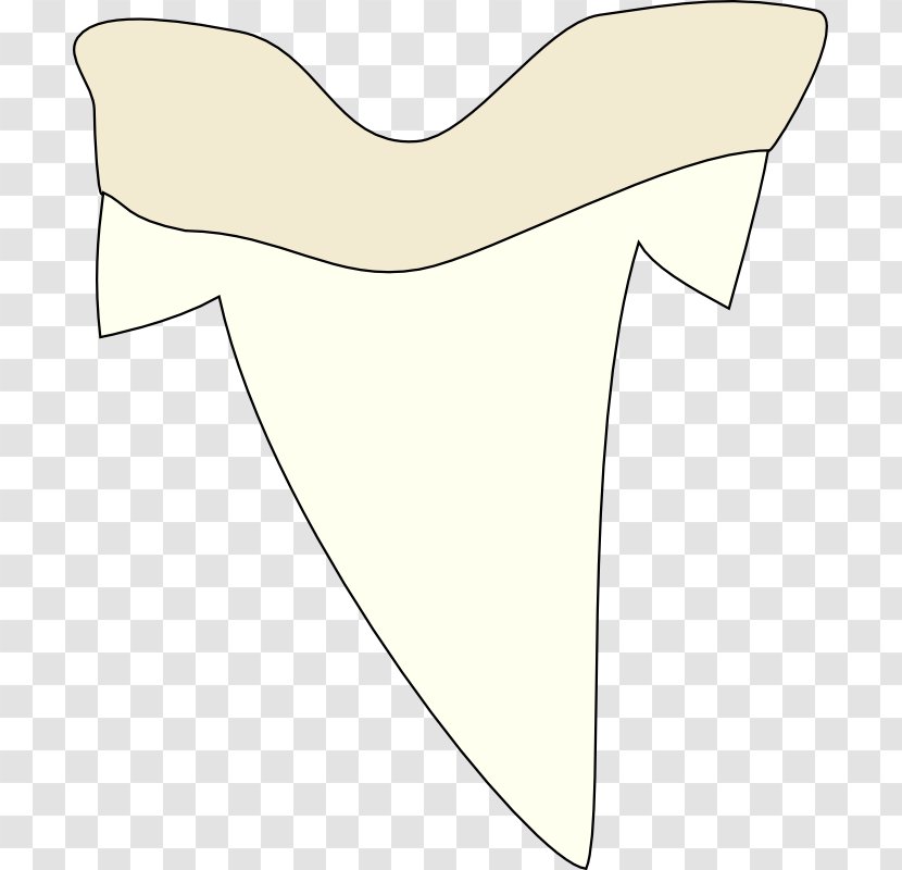 Shark Tooth Clip Art - Heart - Pictures Of A Transparent PNG