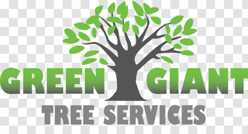 Green Giant Tree Services Pruning Trunk Hurricane-proof Building Transparent PNG