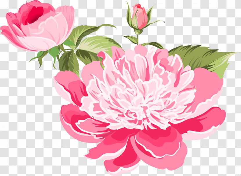 Flower RAR - Pink - Peony Transparent PNG