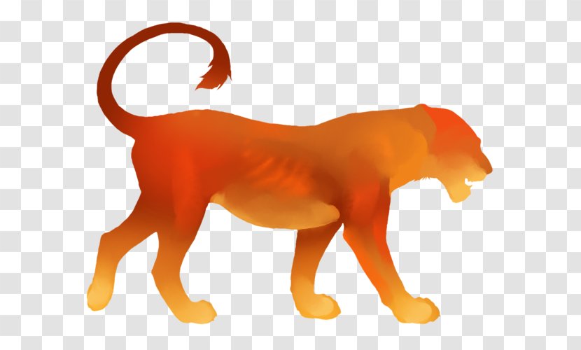 Lion Big Cat Mammal Carnivora - Kitten - Sunset Transparent PNG