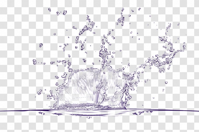 Water Drop - Splash - D Transparent PNG