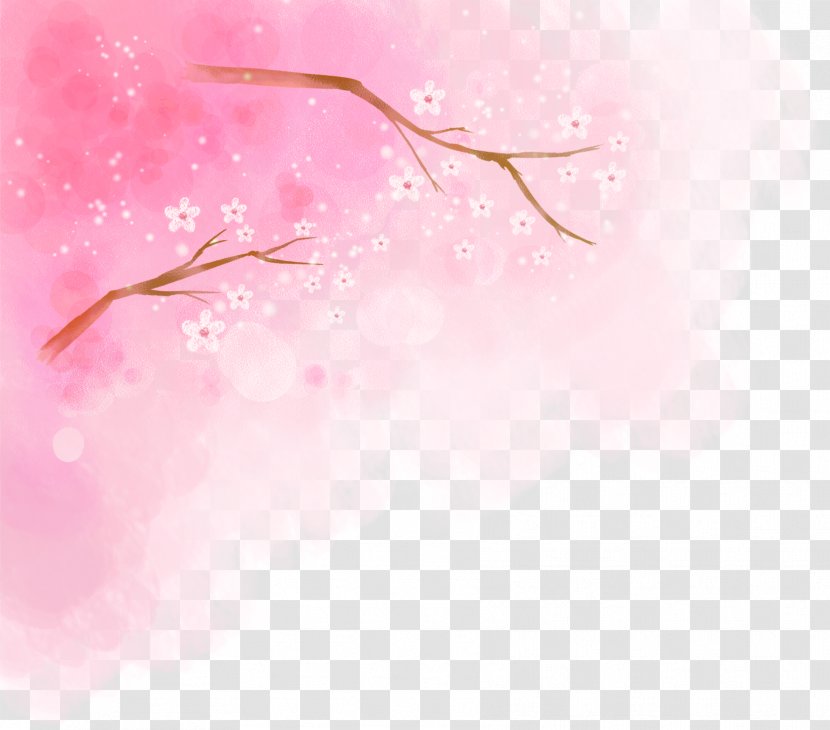 Cherry Blossom Pink Illustration - Texture - Blossoms Transparent PNG