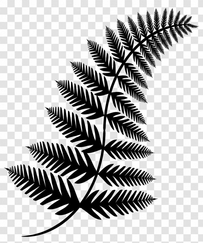 Symmetry Black & White - M Leaf Graphics Pattern Transparent PNG