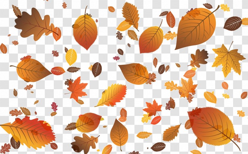 Autumn Leaf Color Desktop Wallpaper Clip Art - Organism Transparent PNG