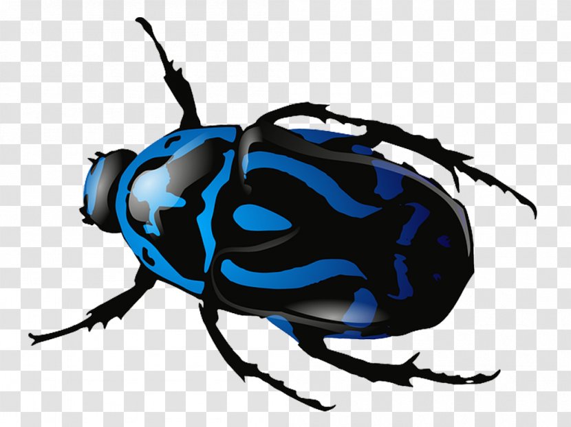 Beetle Clip Art - Insect Transparent PNG