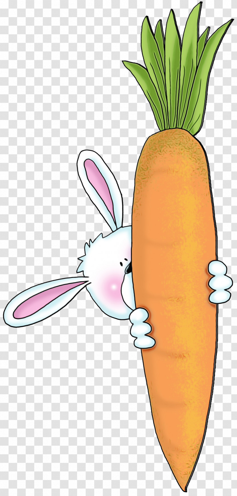 Carrot Radish Root Vegetable Vegetable Daikon Transparent PNG