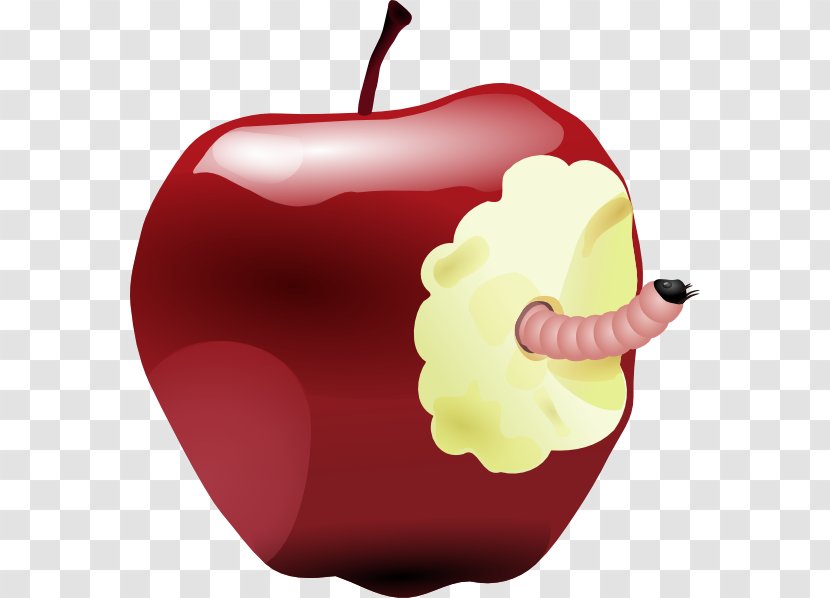 Worm Apple Clip Art - Food - Rotten Meat Cliparts Transparent PNG