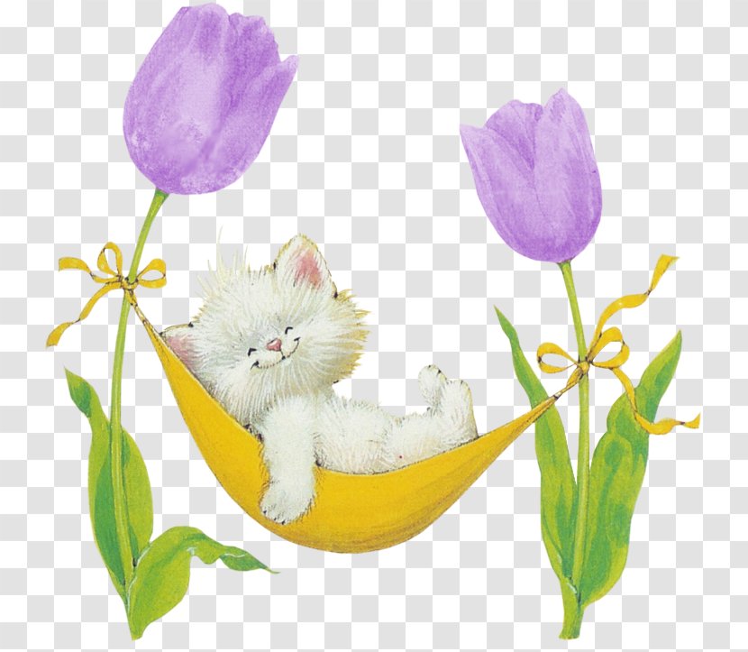 Cat Afrikaans Whiskers Kitten Pin - Floral Design - Purple Tulips Transparent PNG