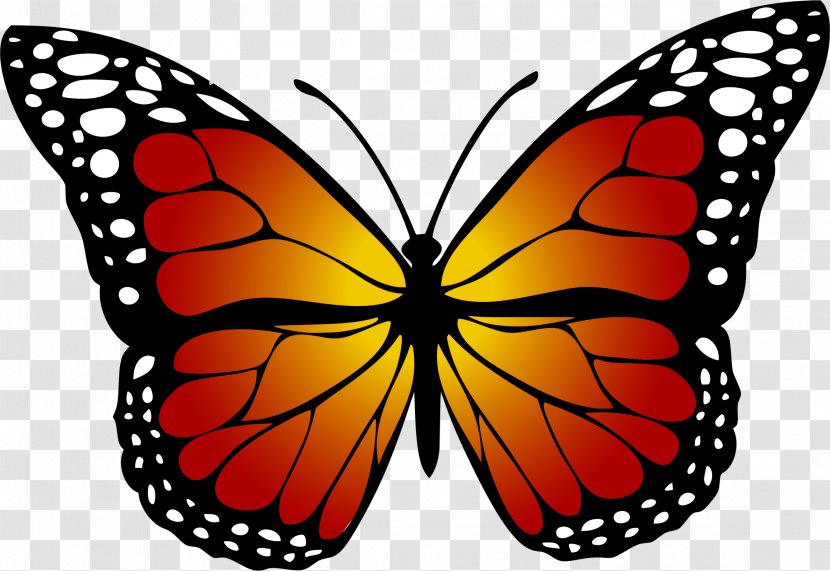 Monarch Butterfly Yellow Clip Art - Color - Red Transparent PNG