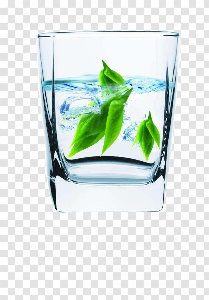 Water Filter Tea Cup Ionizer Glass - Teacup - Mug Transparent PNG