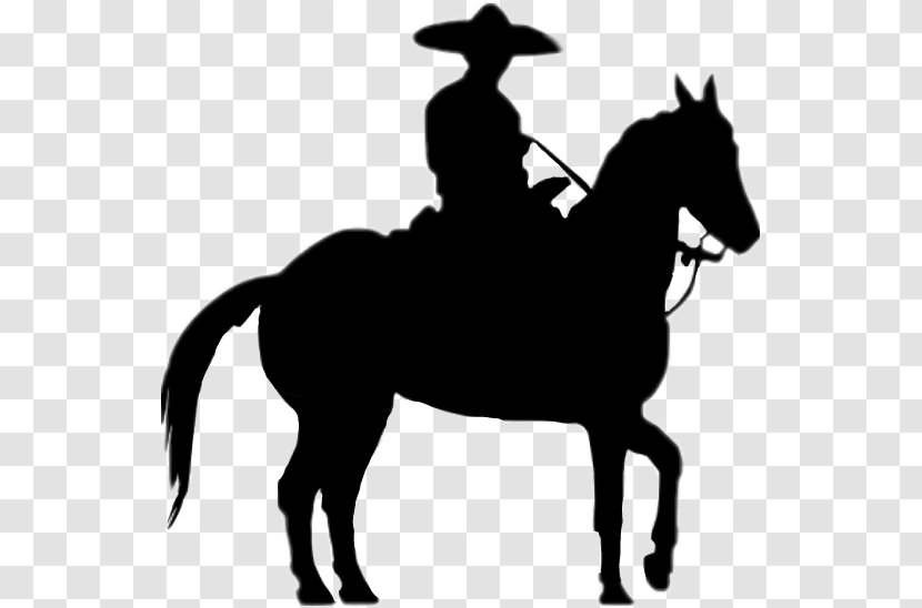 Horse Charro Mexico Silhouette Mariachi - English Riding Transparent PNG