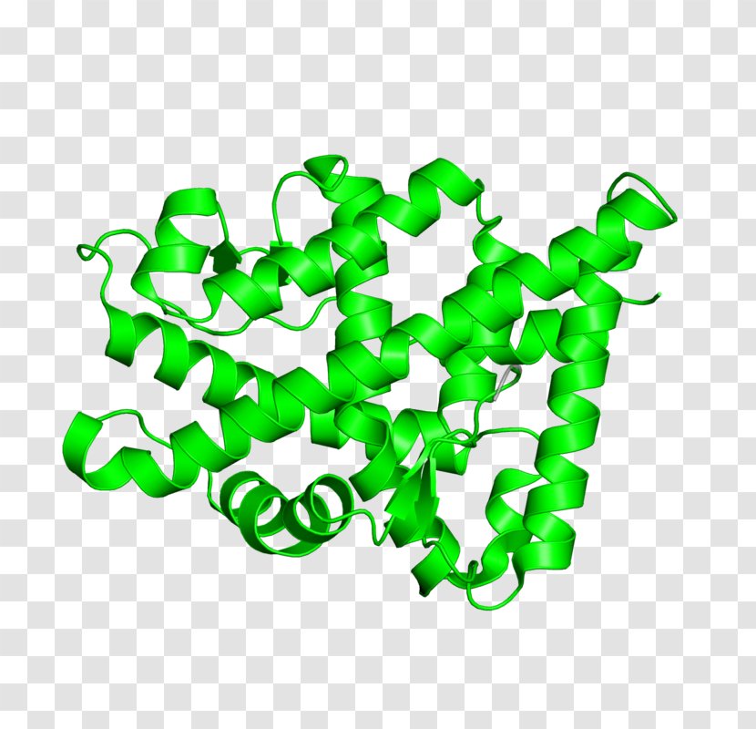 Line Organism Clip Art Transparent PNG