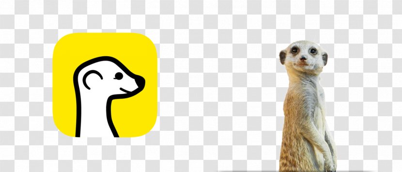 Compare The Meerkat Logo - Yellow - Design Transparent PNG