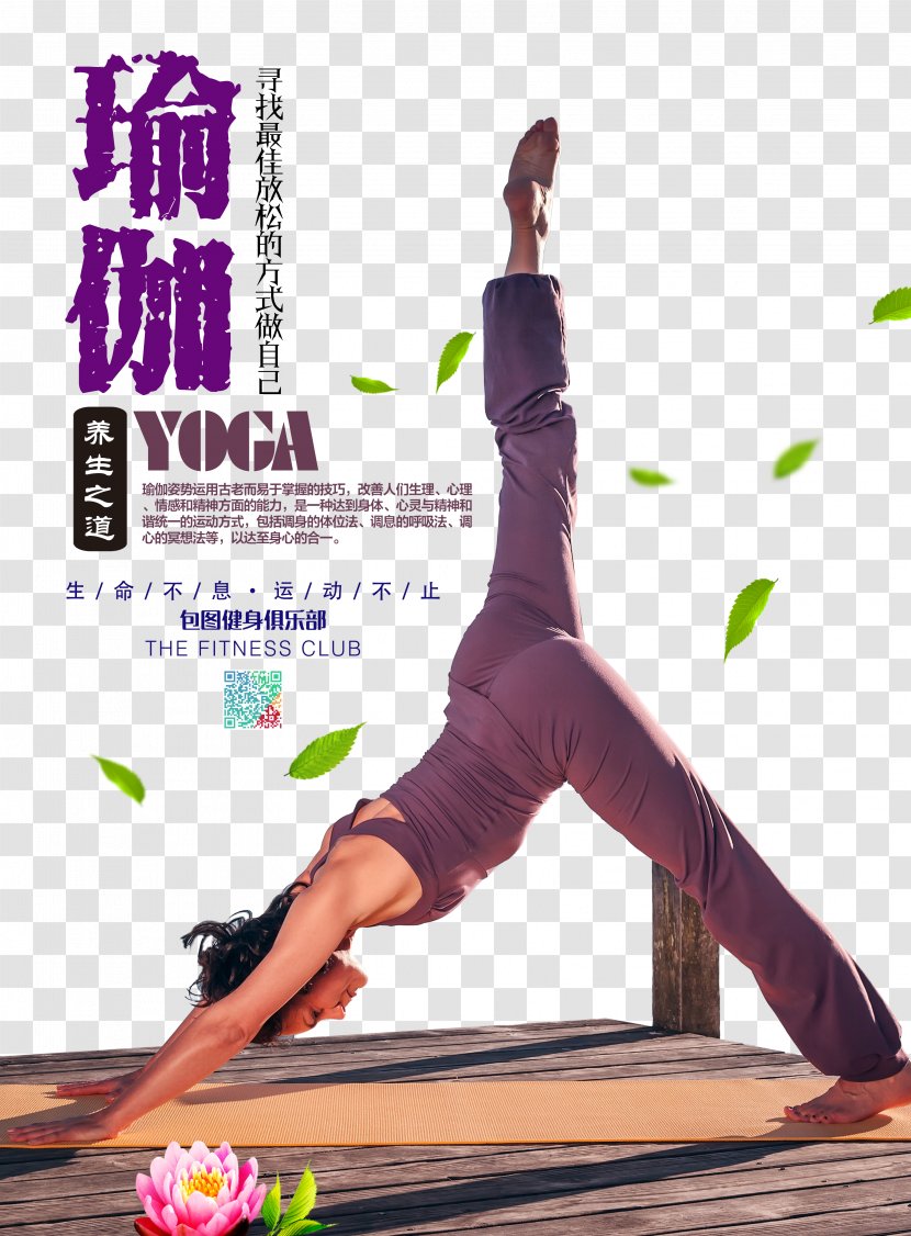 Hatha Yoga Poster Vinyāsa Fitness Centre - Viny%c4%81sa Transparent PNG