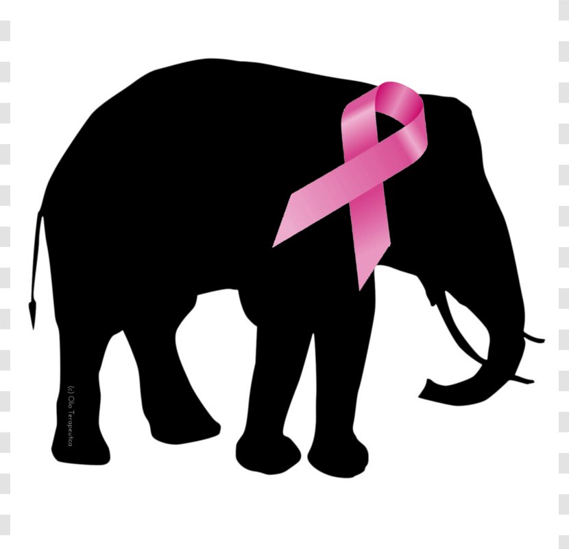 African Elephant Silhouette Clip Art - Shadow - Pictures Of Pink Elephants Transparent PNG