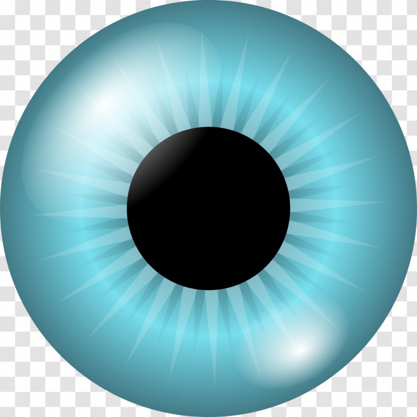 Iris Pupil Human Eye Clip Art - Frame - Eyes Transparent PNG
