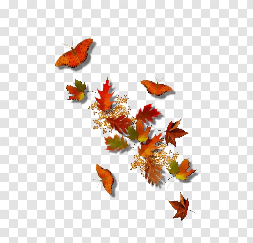Watercolor Background Autumn Frame - Insect - Monarch Butterfly Wing Transparent PNG