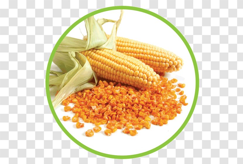 Corn On The Cob Food Maize Sweet Individual Quick Freezing - Cuisine - Packaged Transparent PNG