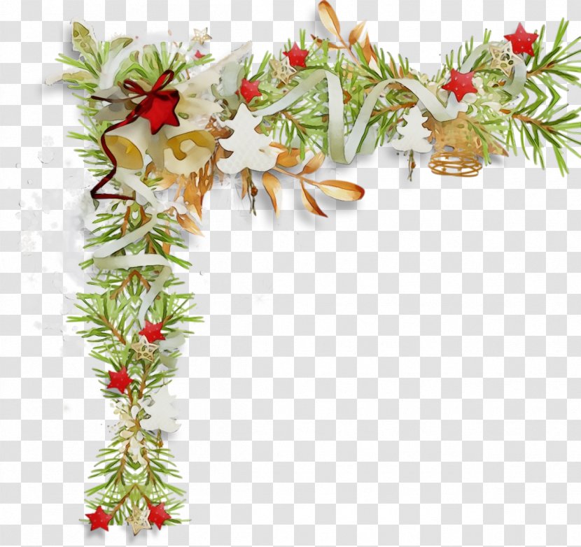 Holly - Paint - Twig Fir Transparent PNG