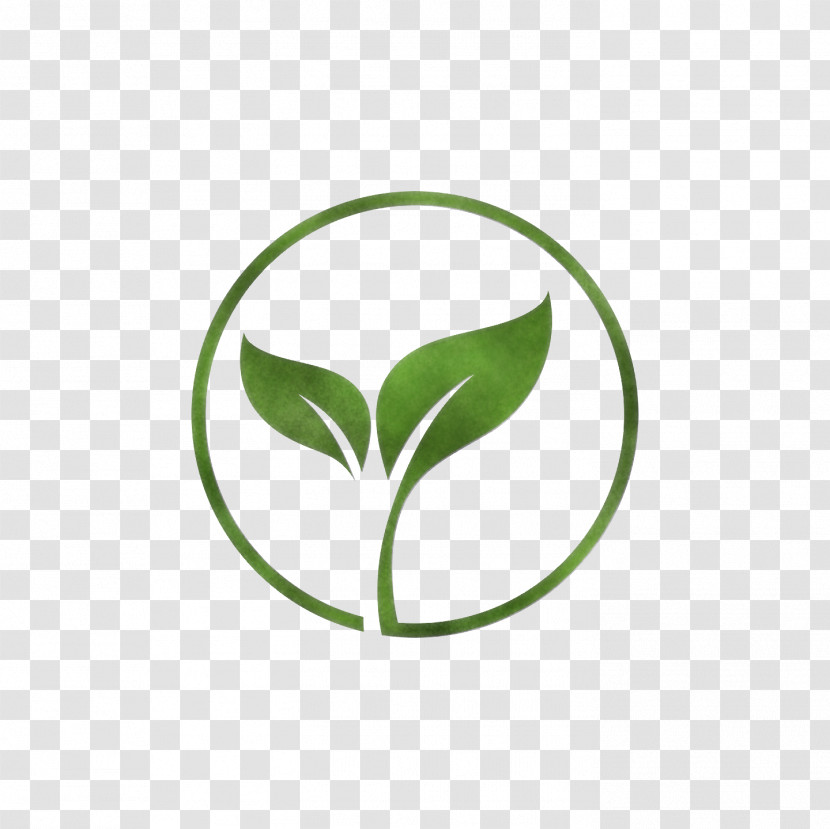Logo Leaf Plant Stem Font Green Transparent PNG