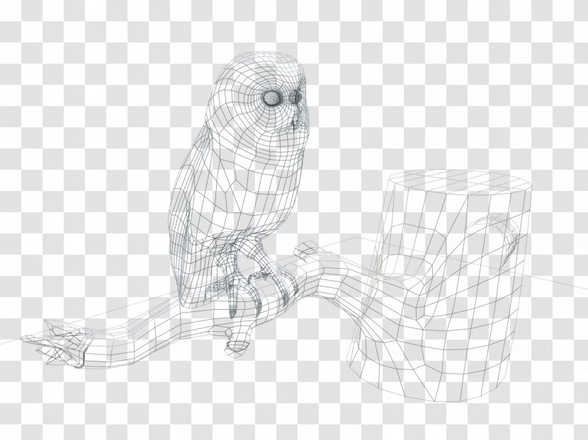 Owl Line Art Sketch Transparent PNG