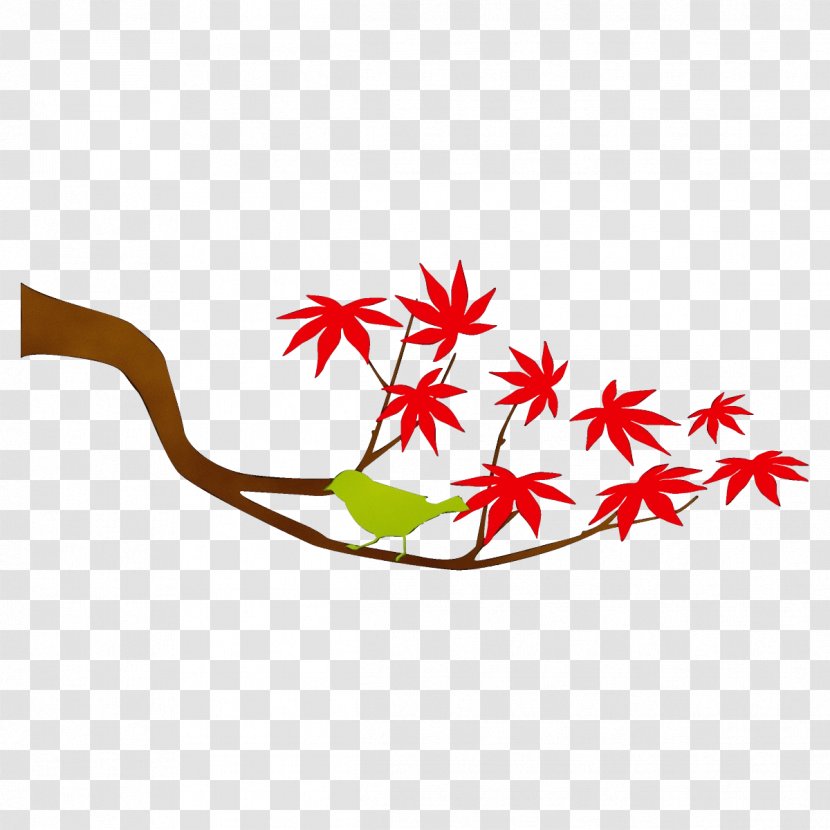 Maple Leaf - Paint - Flower Transparent PNG