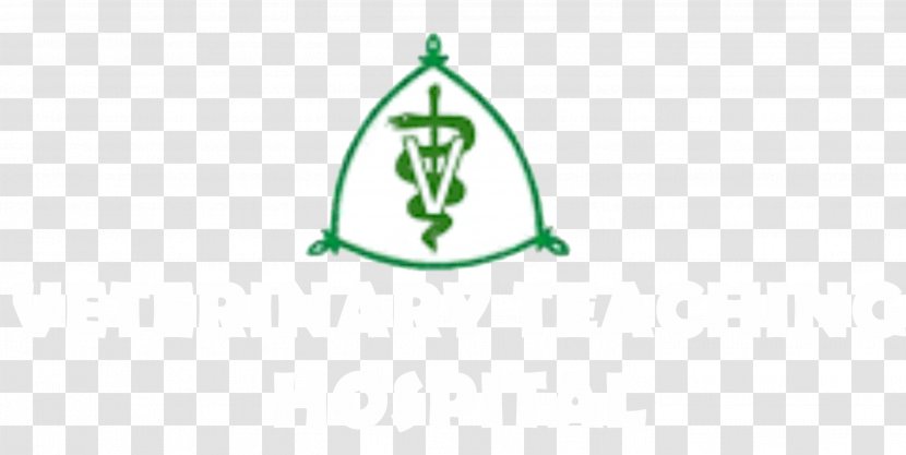 Ahmadu Bello University Hospital Medicine Diploma - Rabies Transparent PNG