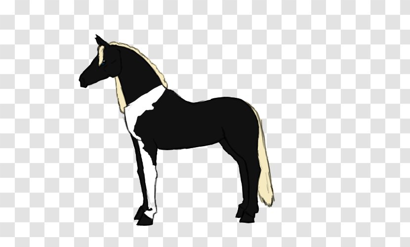 Foal Mane Mare Mustang Halter - Bit - Mbs Transparent PNG