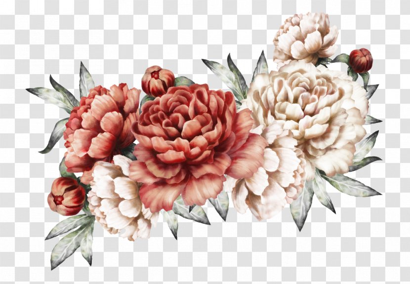 Red Watercolor Flowers - Cut - Protea Family Transparent PNG