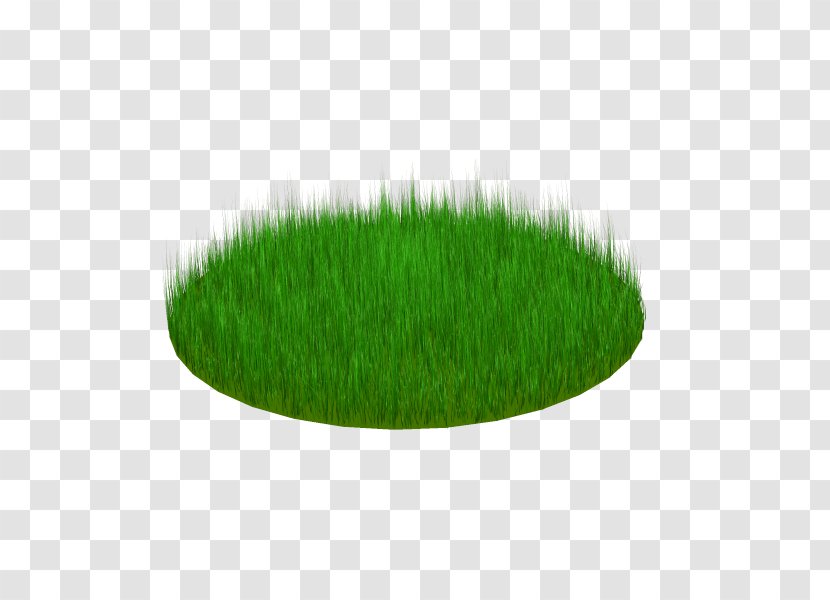 Wheatgrass - Grass - 2d Transparent PNG