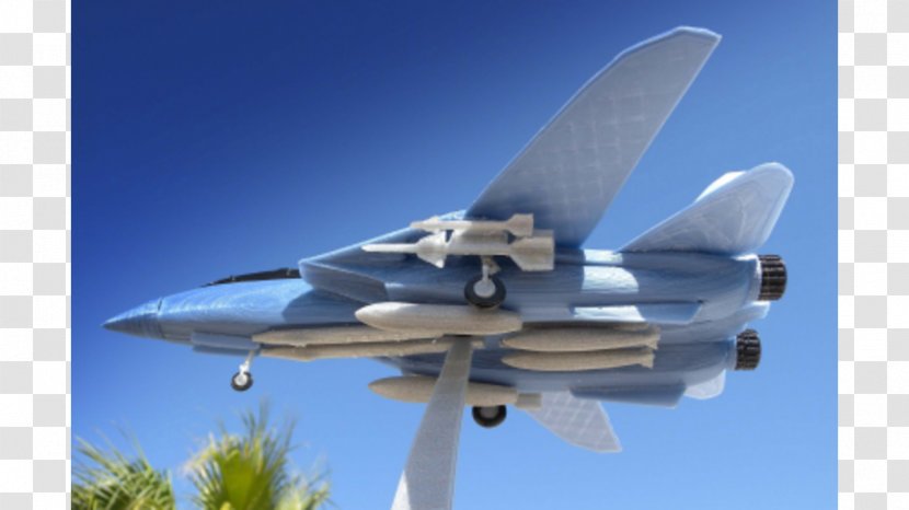 Grumman F-14 Tomcat Fighter Aircraft STL 3D Printing Ciljno Nalaganje - Supermarket Goods Transparent PNG