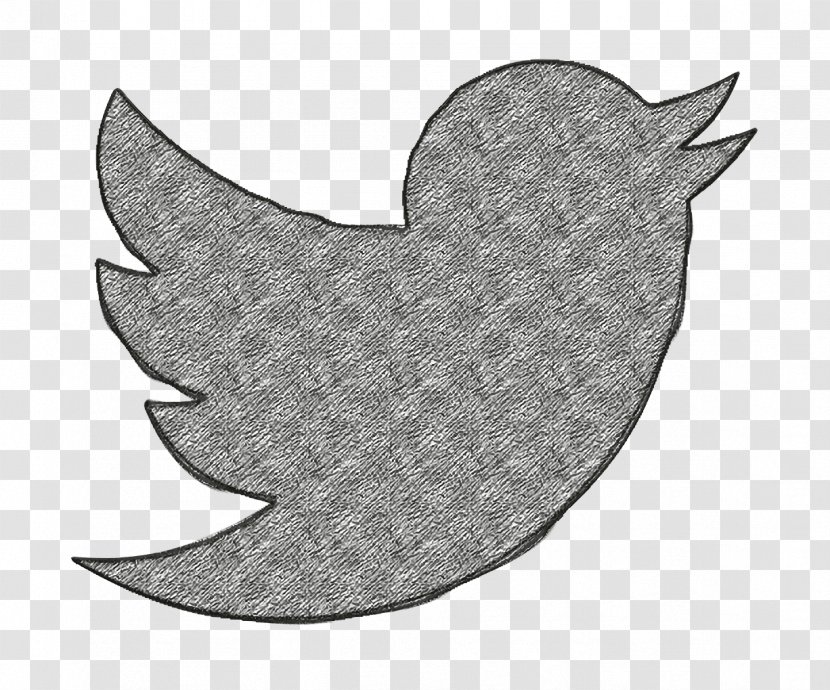 Twitter Icon - Wing - Logo Transparent PNG