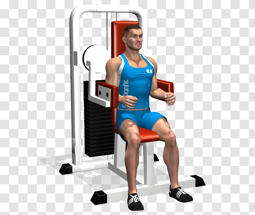 Shoulder Deltoid Muscle Weightlifting Machine Weight Training - Heart - Exercise Transparent PNG