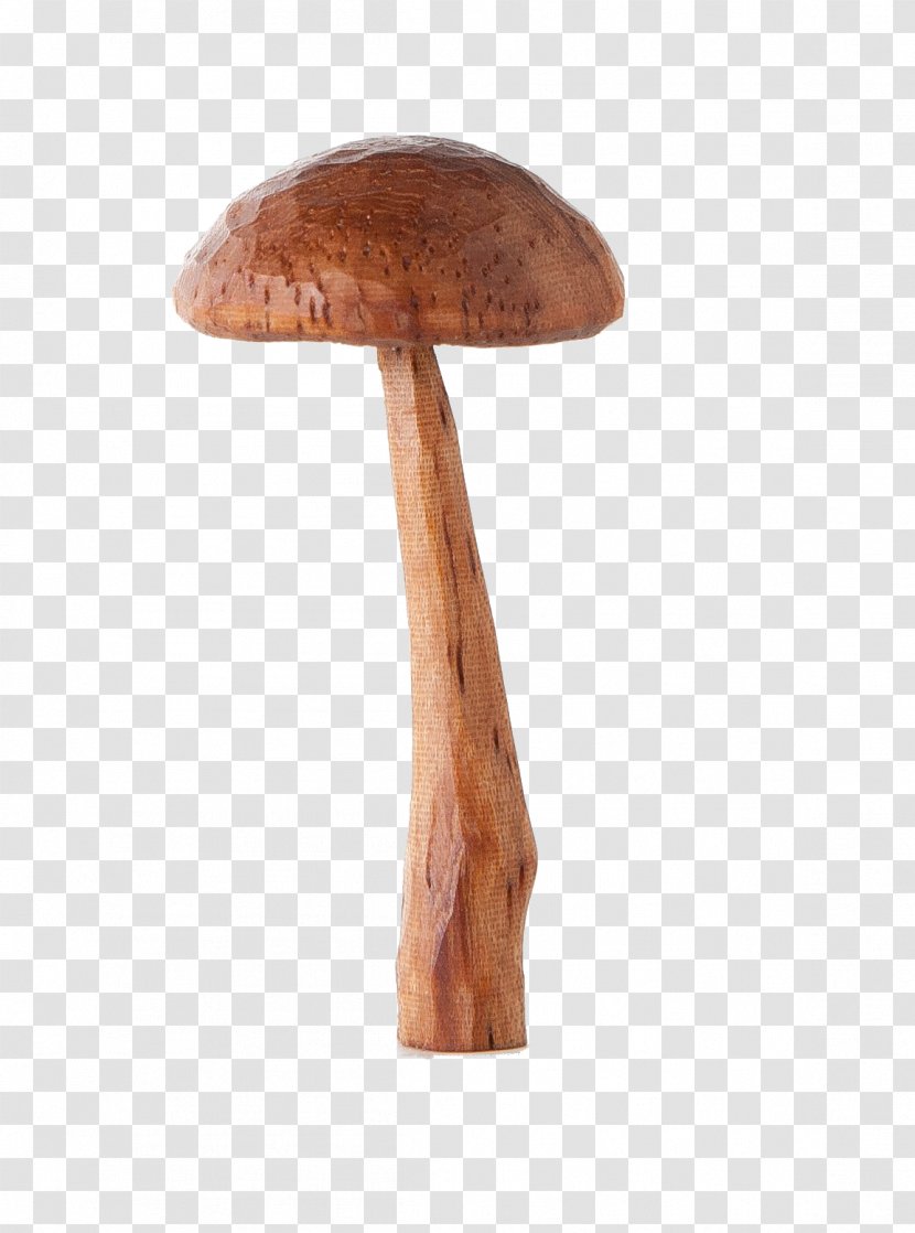 Wood Mushroom /m/083vt Transparent PNG