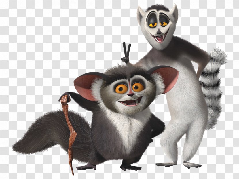 Rico Julien Lemur Madagascar Film - Carnivoran - Penguins Transparent PNG