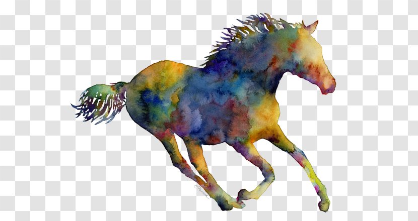 Mustang Watercolor Painting Pony White (Three Panel) - Monochrome - Horse Run Transparent PNG